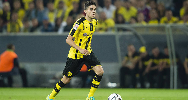 Бартра, bvb.de