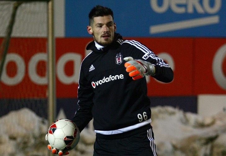 Денис Бойко, Beşiktaş J.K.